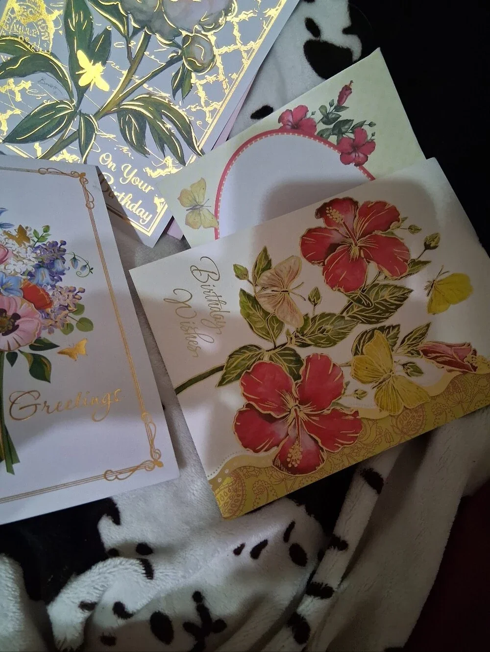 Birthday Card Set